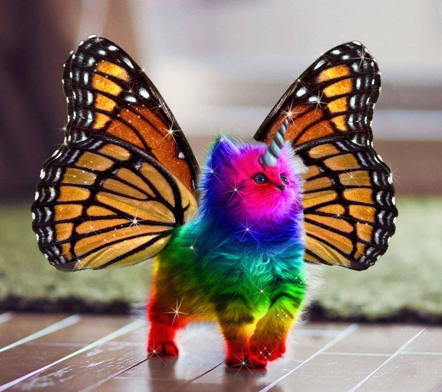 babochka-mutant.xxl.jpg