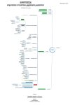 04. ЛЕСТВИЦА - 2 СТУПЕНЬ - ОБЩАЯ КАРТА ДЛЯ ВСЕХ КУРСОВ.jpg