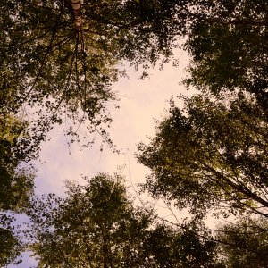 DSC_1063.JPG