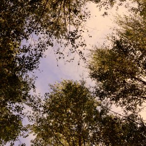 DSC_1064.JPG
