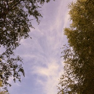 DSC_1068.JPG