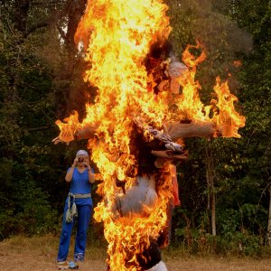 DSC_2240.JPG