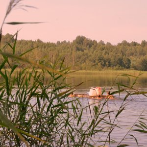 DSC_2564.JPG