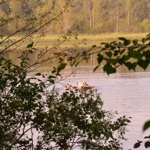 DSC_2565.JPG