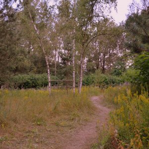 DSC_9919.JPG